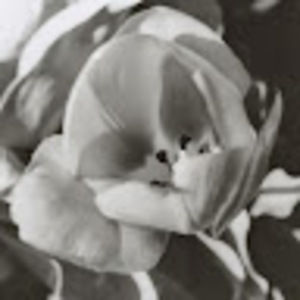 Meet your Posher, Abigail